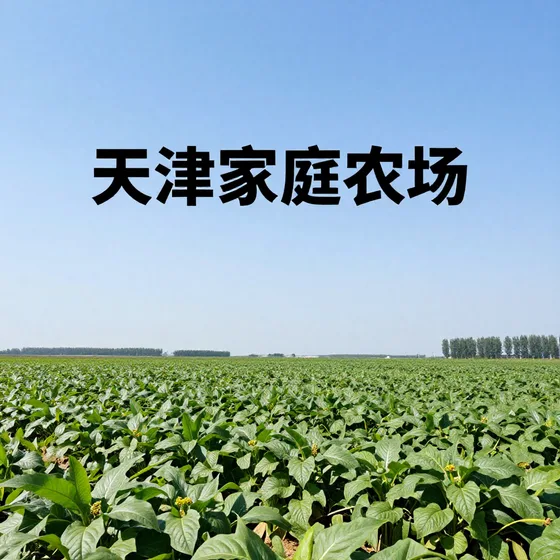 电厂管件